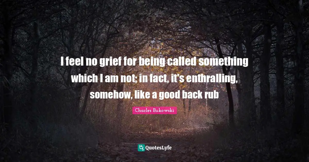 I feel no grief for being called something which I am not; in fact, it's enthralling, somehow, like a good back rub