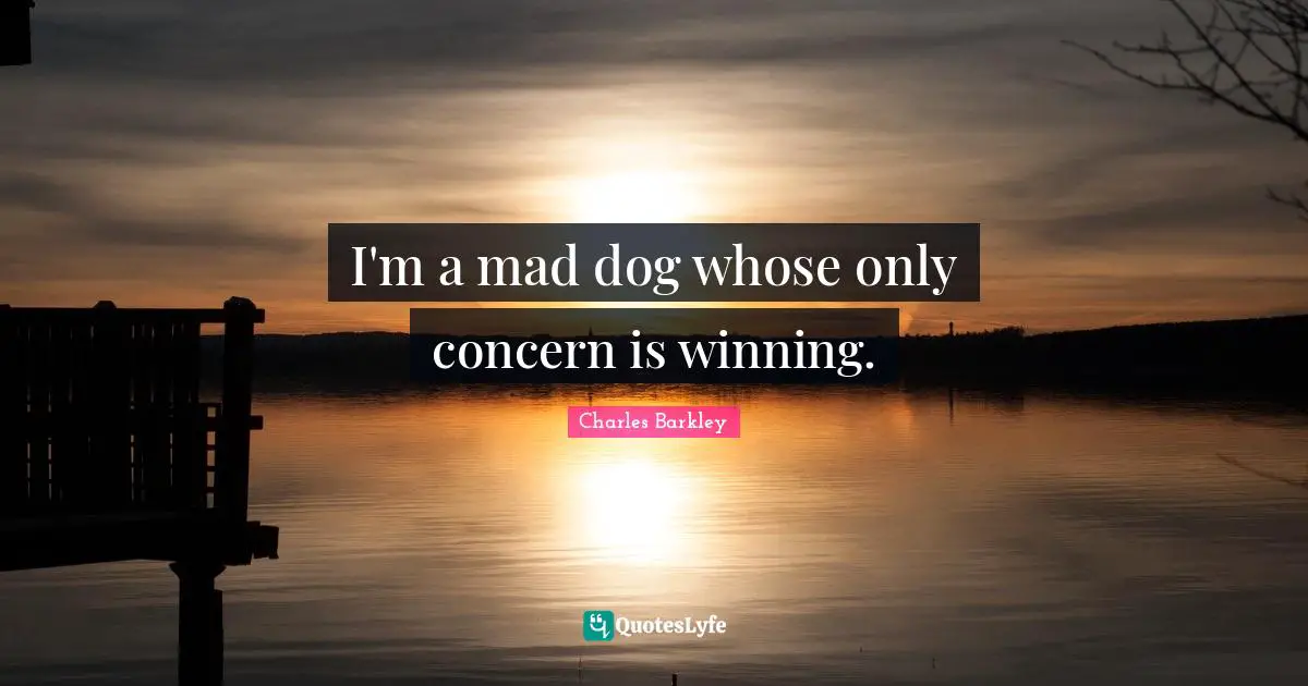 I'm a mad dog whose only concern is winning.