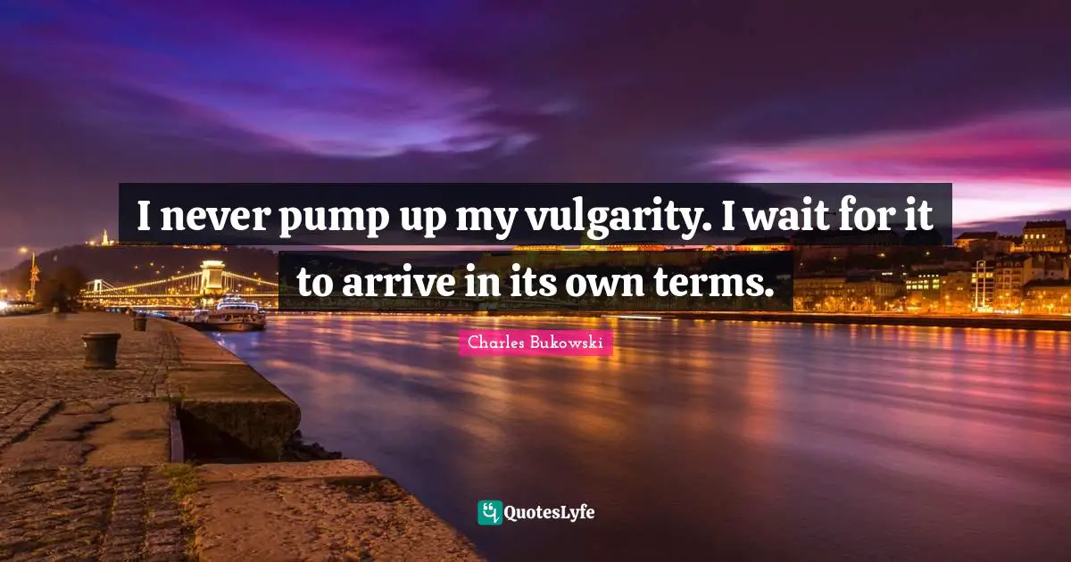 I never pump up my vulgarity. I wait for it to arrive in its own terms.