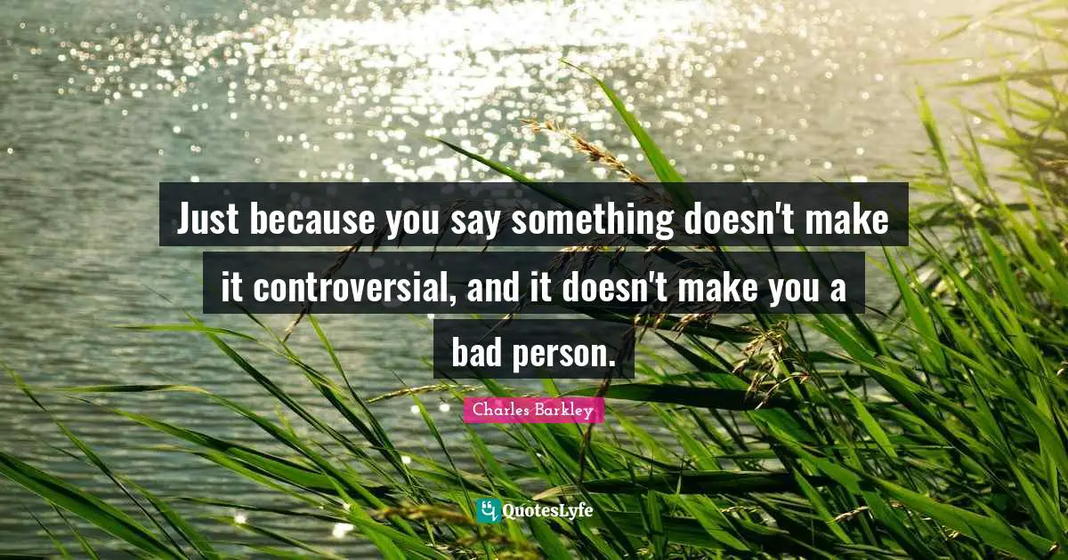 Charles Barkley Quotes: "Just because you say something doesn't make it controversial, and it doesn't make you a bad person."