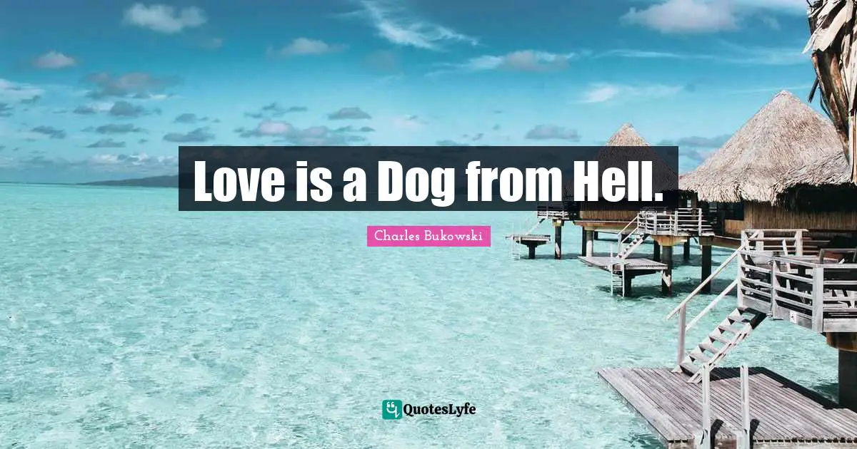 Love is a Dog from Hell.