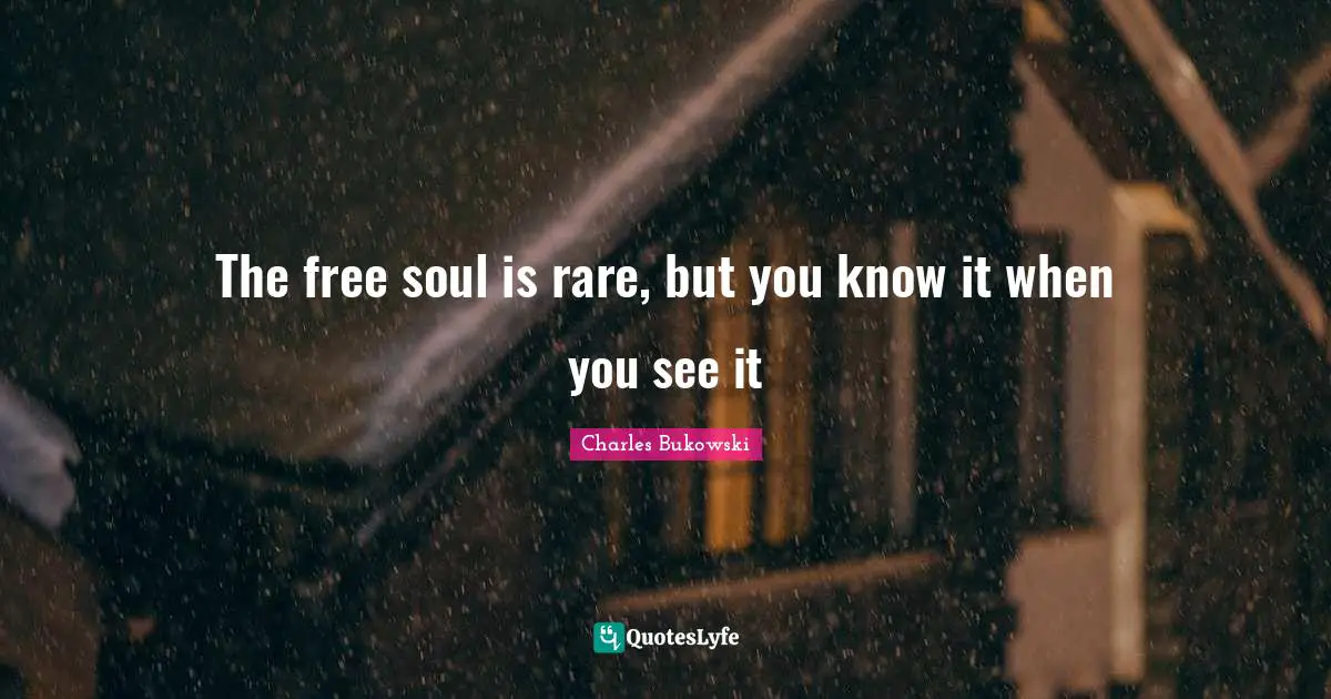 Lazy Eyes Quotes: "The free soul is rare, but you know it when you see it"