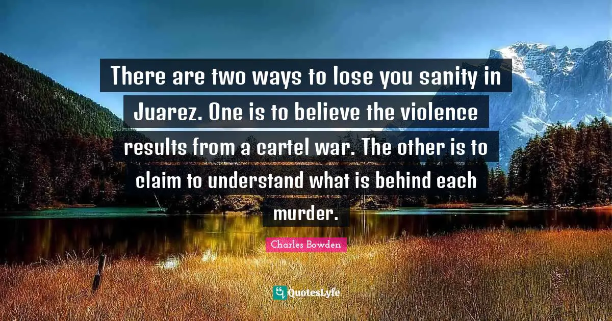 There are two ways to lose you sanity in Juarez. One is to believe the violence results from a cartel war. The other is to claim to understand what is behind each murder.