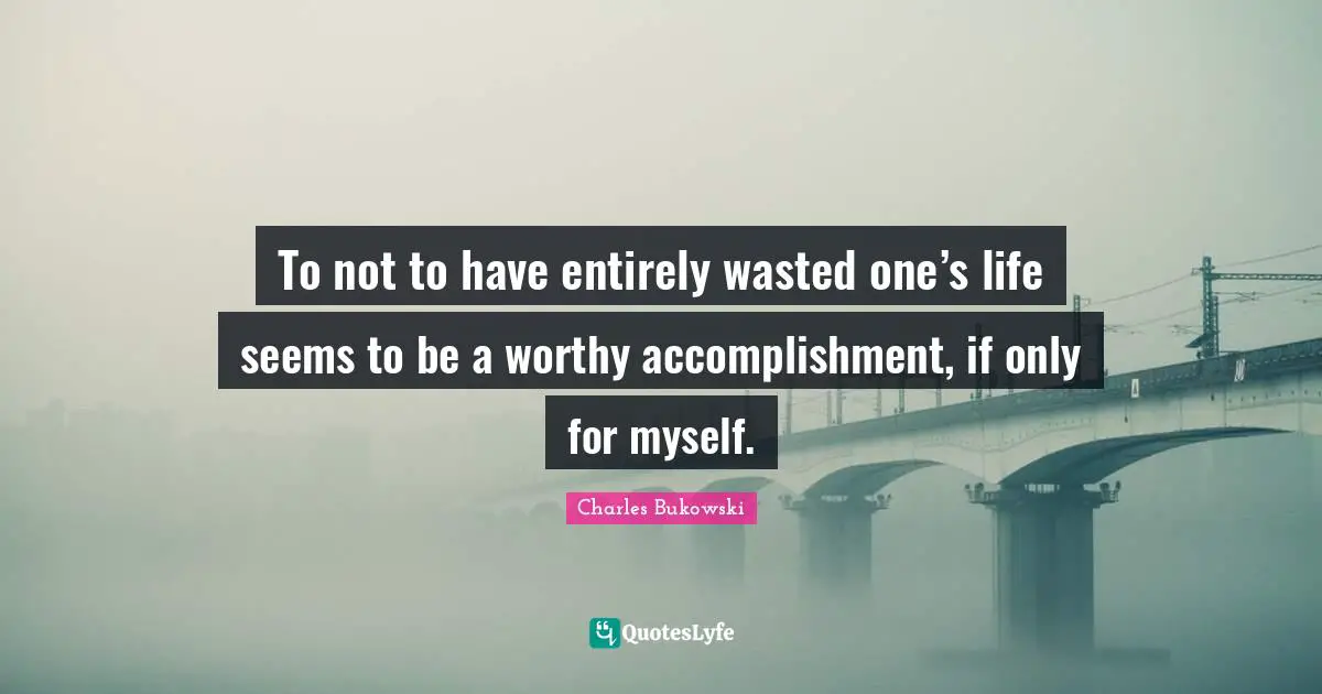 To not to have entirely wasted one’s life seems to be a worthy accomplishment, if only for myself.