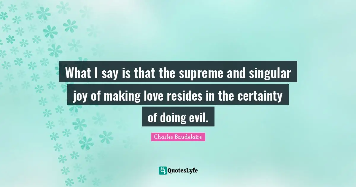 What I say is that the supreme and singular joy of making love resides in the certainty of doing evil.