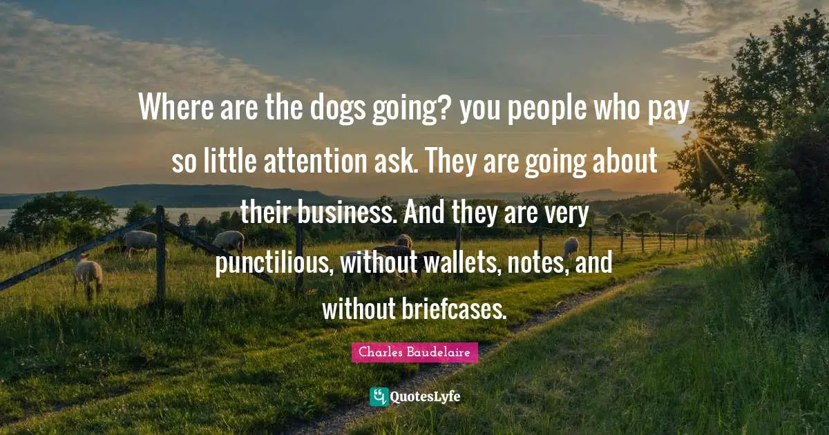 Charles Baudelaire Quotes: "Where are the dogs going? you people who pay so little attention ask. They are going about their business. And they are very punctilious, without wallets, notes, and without briefcases."