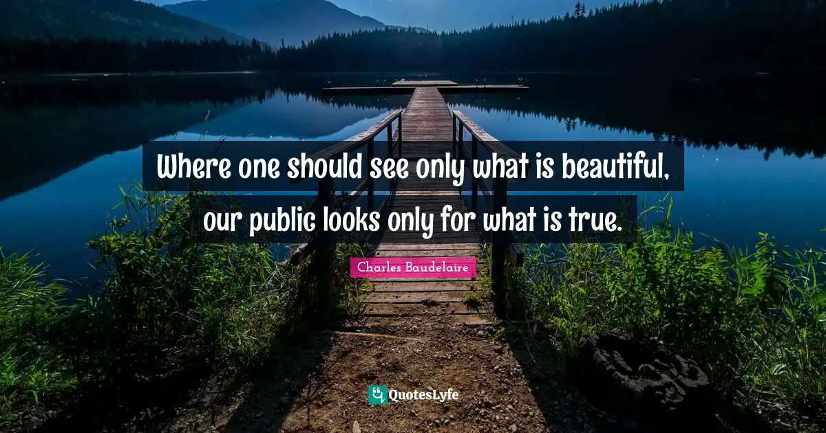 Where one should see only what is beautiful, our public looks only for what is true.