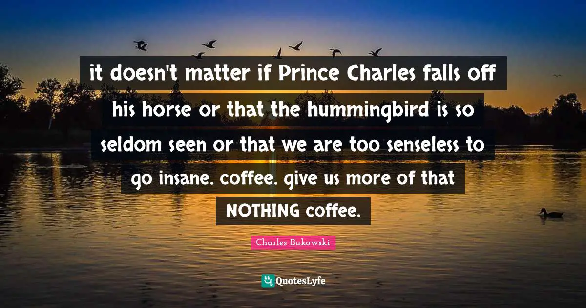 it doesn't matter if Prince Charles falls off his horse or that the hummingbird is so seldom seen or that we are too senseless to go insane. coffee. give us more of that NOTHING coffee.