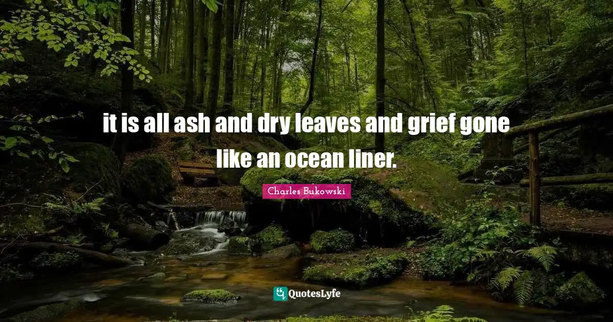 it is all ash and dry leaves and grief gone like an ocean liner.