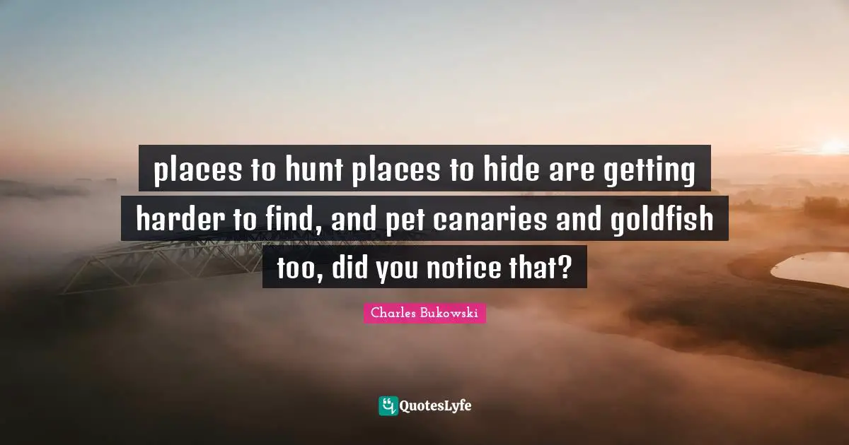 places to hunt places to hide are getting harder to find, and pet canaries and goldfish too, did you notice that?