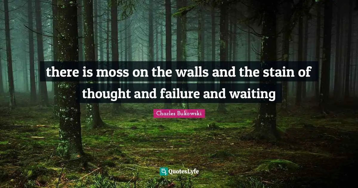 there is moss on the walls and the stain of thought and failure and waiting