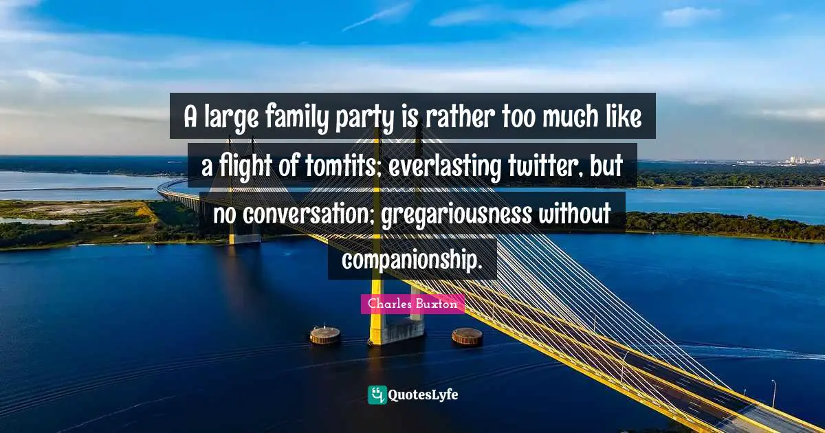 A large family party is rather too much like a flight of tomtits; everlasting twitter, but no conversation; gregariousness without companionship.