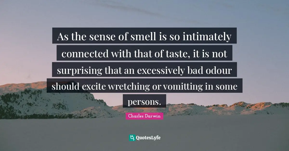 As the sense of smell is so intimately connected with that of taste, it is not surprising that an excessively bad odour should excite wretching or vomitting in some persons.