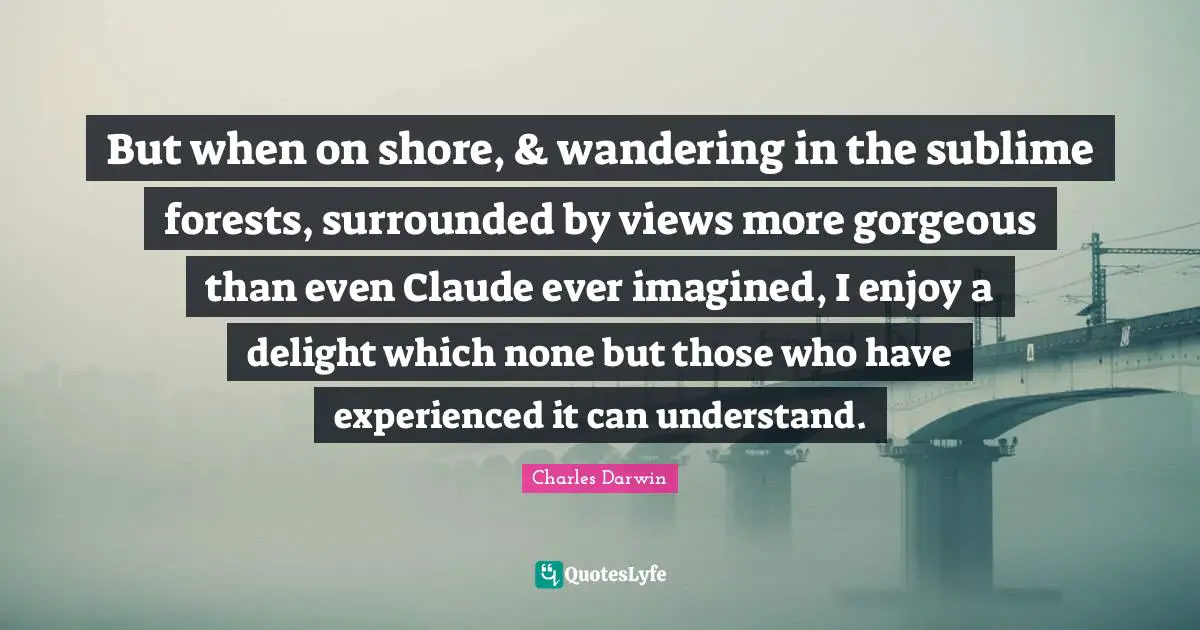 But when on shore, & wandering in the sublime forests, surrounded by views more gorgeous than even Claude ever imagined, I enjoy a delight which none but those who have experienced it can understand.