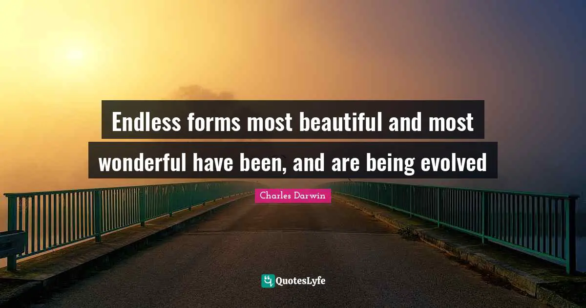 Charles Darwin Quotes: "Endless forms most beautiful and most wonderful have been, and are being evolved"