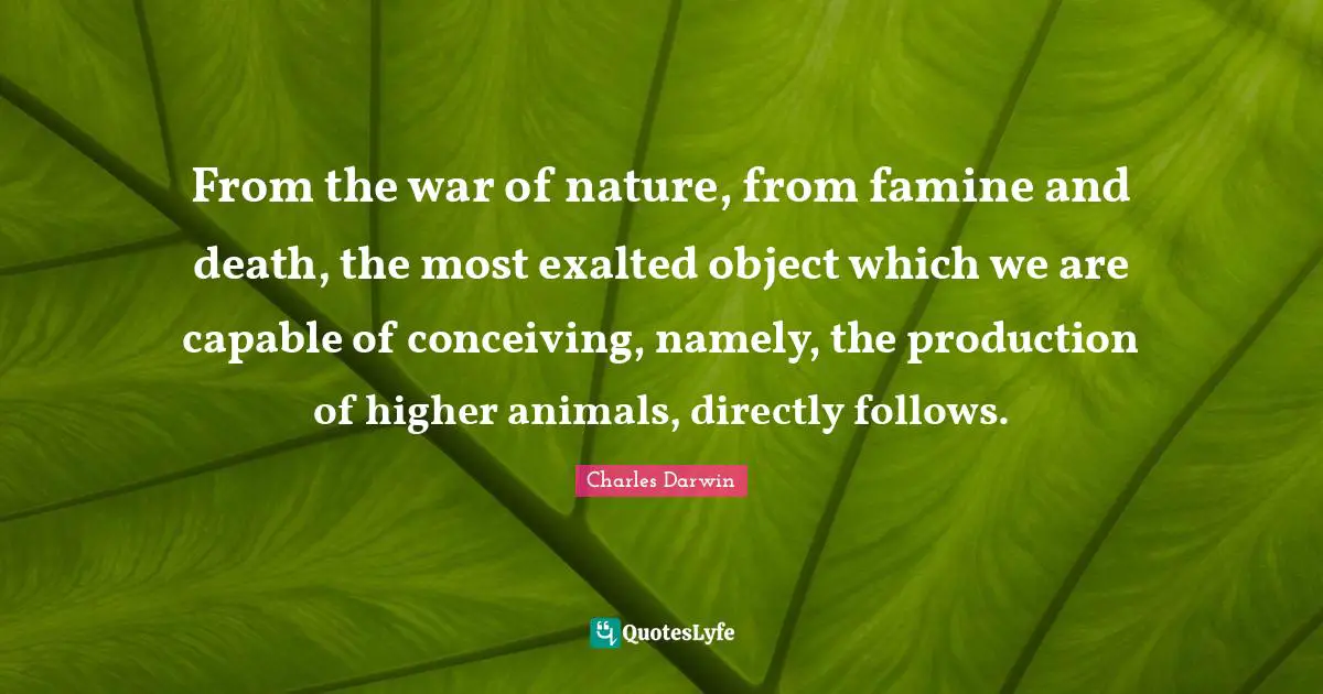 Charles Darwin Quotes: "From the war of nature, from famine and death, the most exalted object which we are capable of conceiving, namely, the production of higher animals, directly follows."