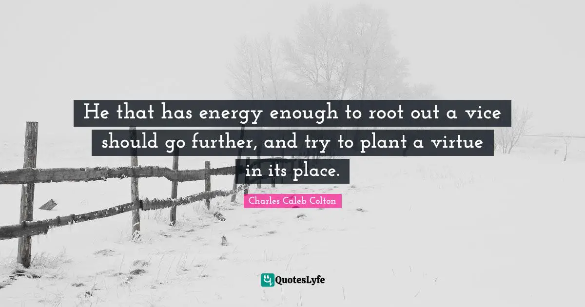 He that has energy enough to root out a vice should go further, and try to plant a virtue in its place.