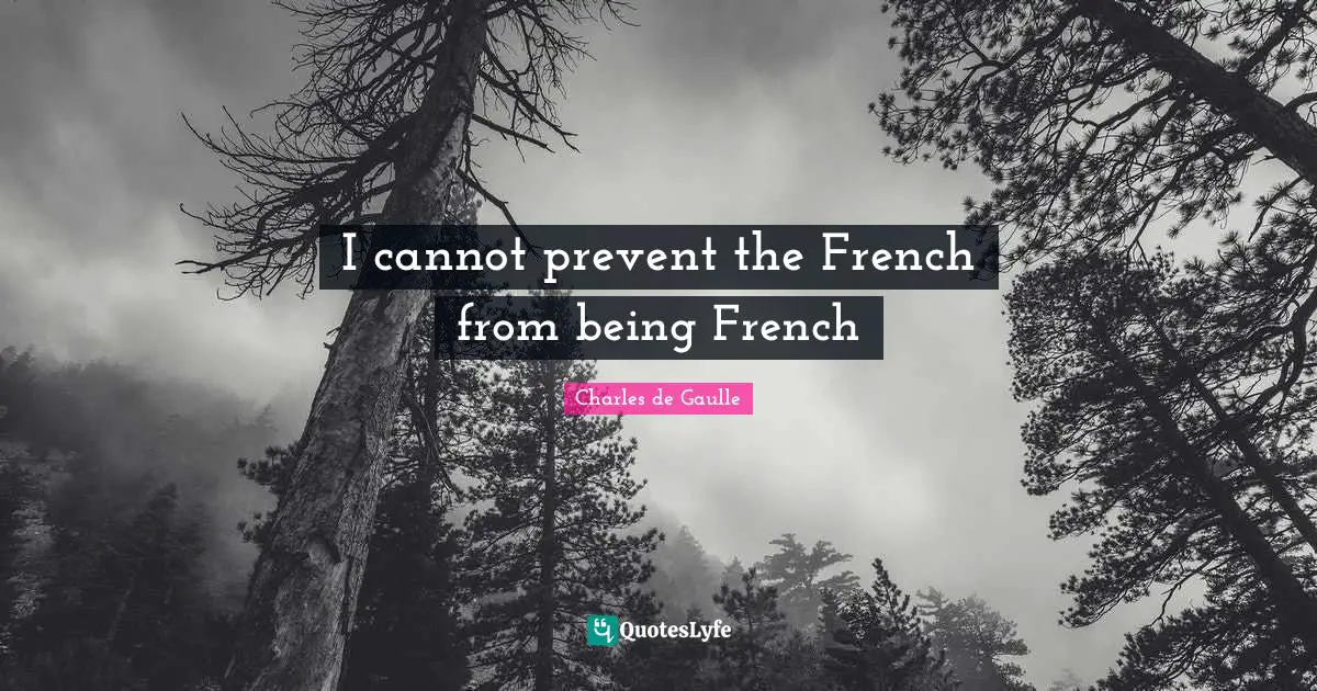 I cannot prevent the French from being French