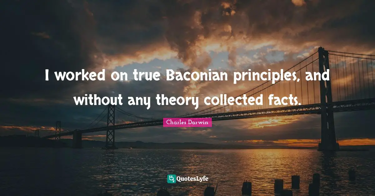 I worked on true Baconian principles, and without any theory collected facts.