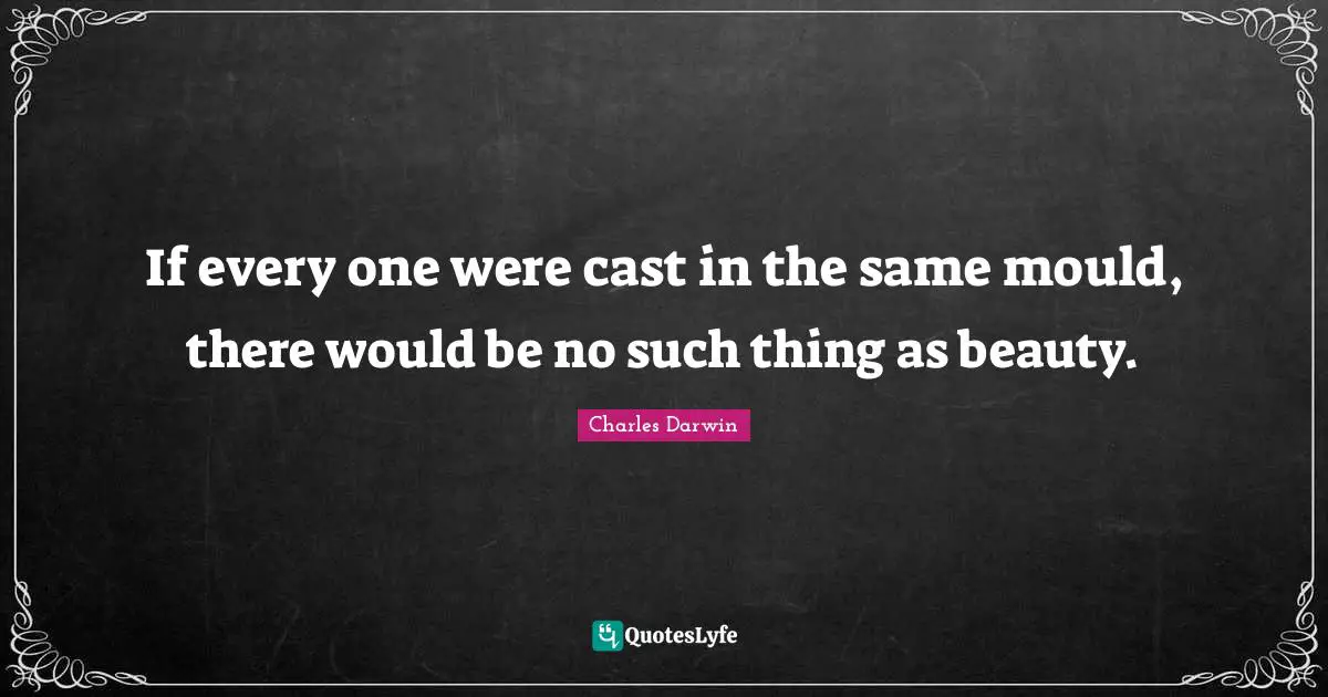 If every one were cast in the same mould, there would be no such thing as beauty.
