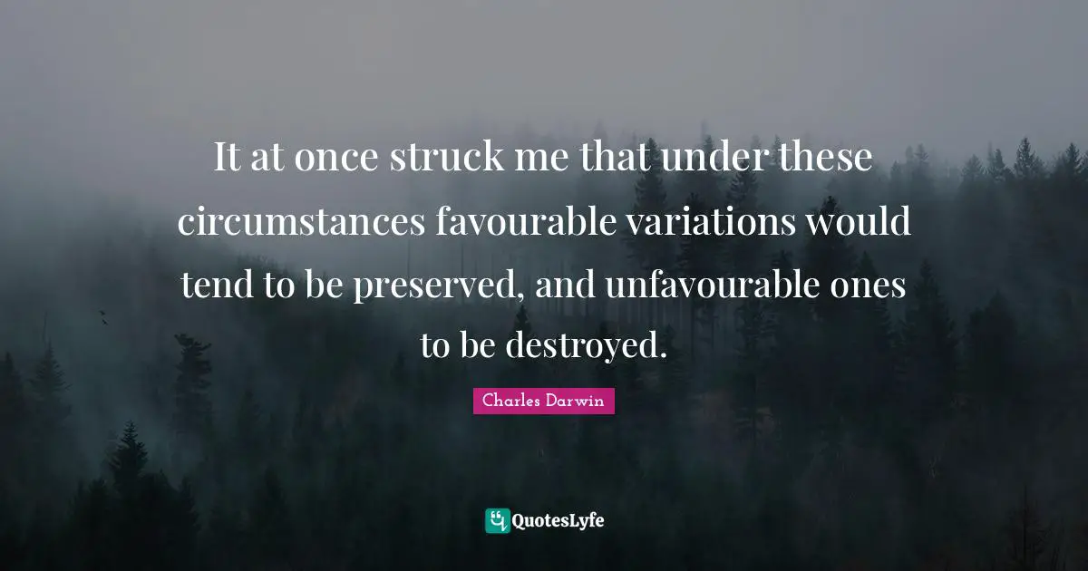 It at once struck me that under these circumstances favourable variations would tend to be preserved, and unfavourable ones to be destroyed.