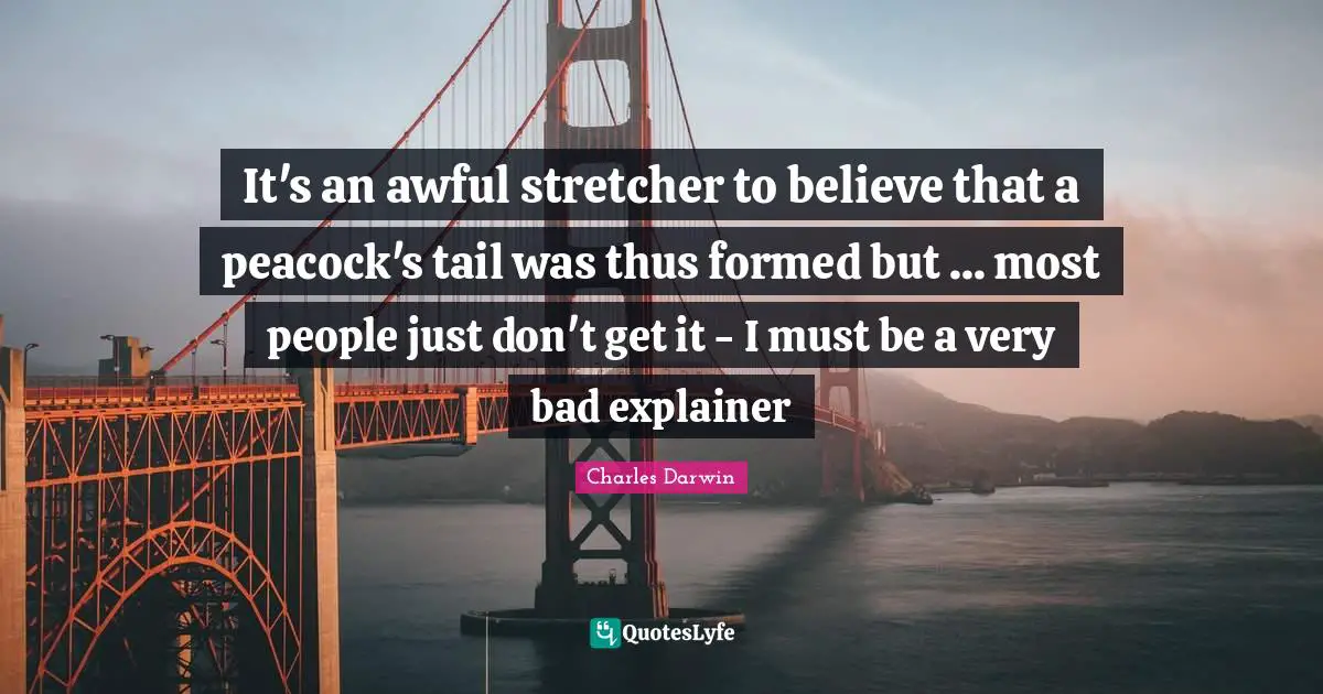 It's an awful stretcher to believe that a peacock's tail was thus formed but ... most people just don't get it - I must be a very bad explainer