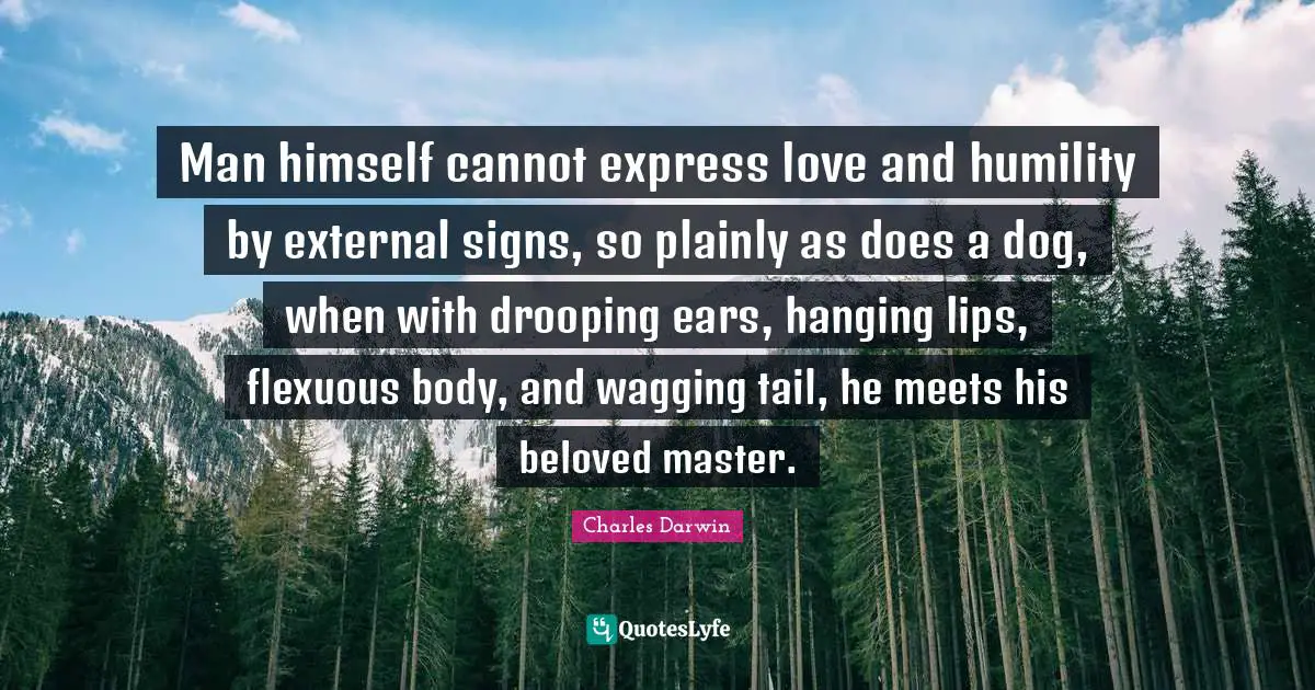 Man himself cannot express love and humility by external signs, so plainly as does a dog, when with drooping ears, hanging lips, flexuous body, and wagging tail, he meets his beloved master.