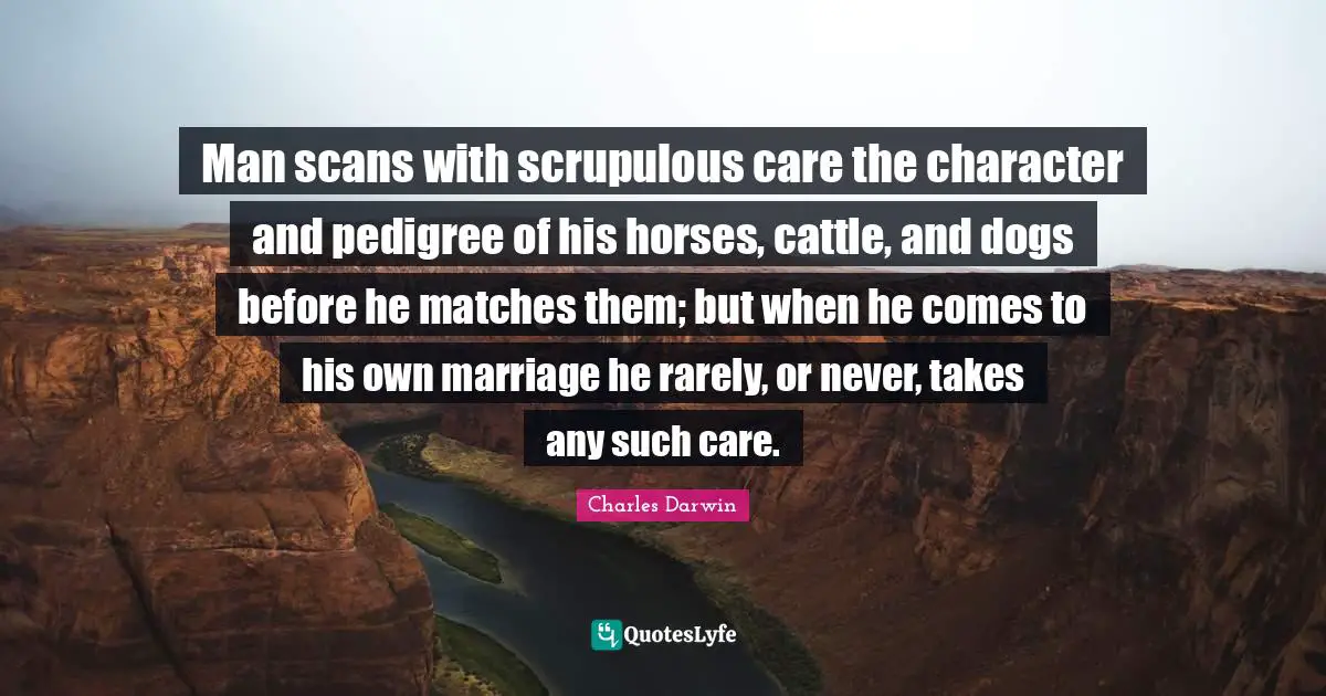 Charles Darwin Quotes: "Man scans with scrupulous care the character and pedigree of his horses, cattle, and dogs before he matches them; but when he comes to his own marriage he rarely, or never, takes any such care."