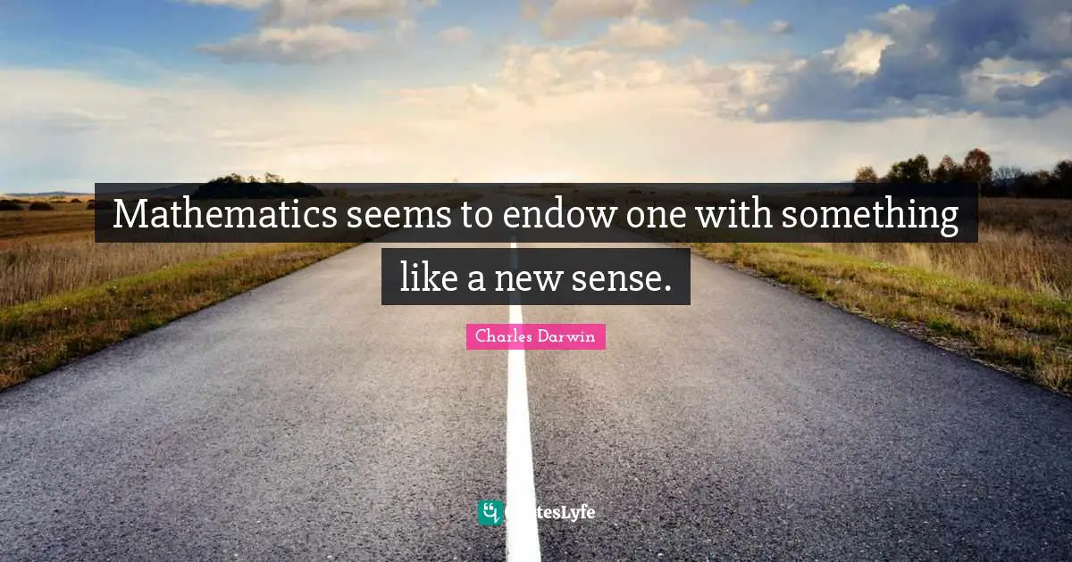 Mathematics seems to endow one with something like a new sense.