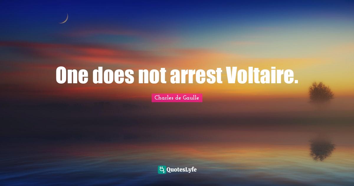One does not arrest Voltaire.