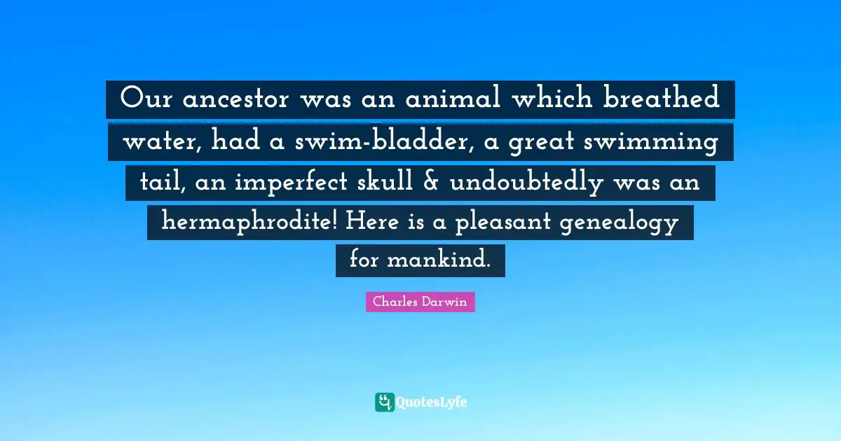 Our ancestor was an animal which breathed water, had a swim-bladder, a great swimming tail, an imperfect skull & undoubtedly was an hermaphrodite! Here is a pleasant genealogy for mankind.