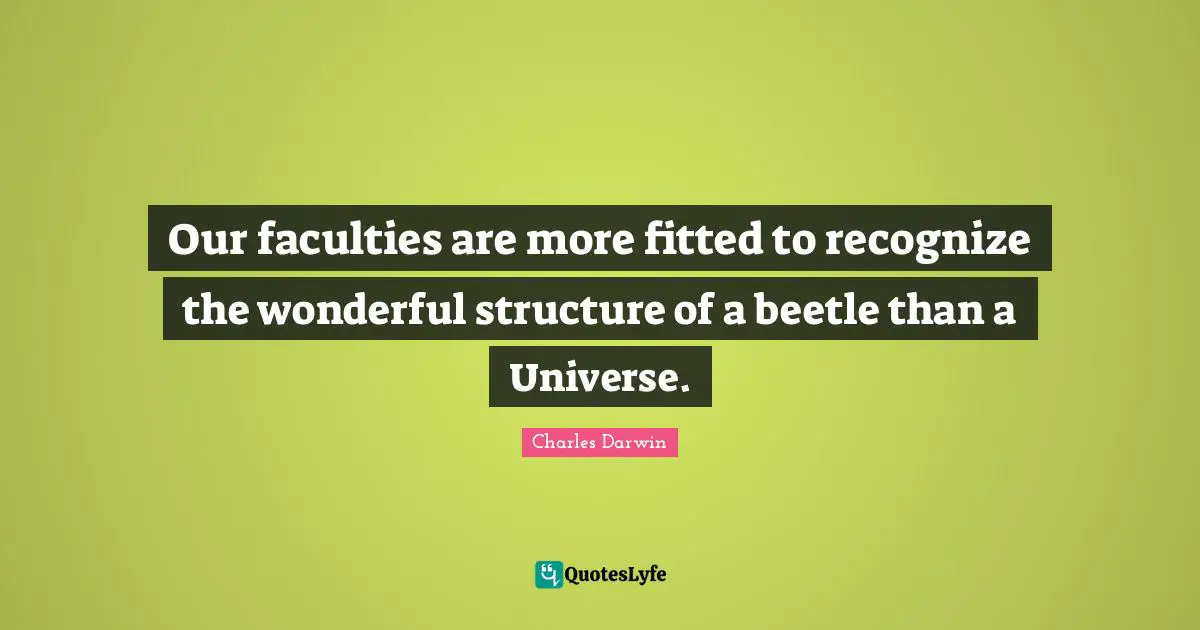 Our faculties are more fitted to recognize the wonderful structure of a beetle than a Universe.