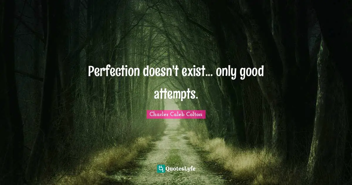 Perfection doesn't exist... only good attempts.