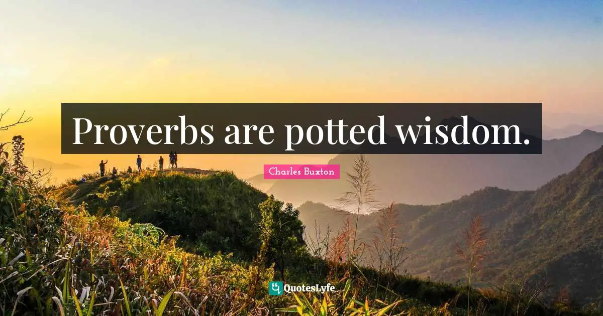 Proverbs are potted wisdom.