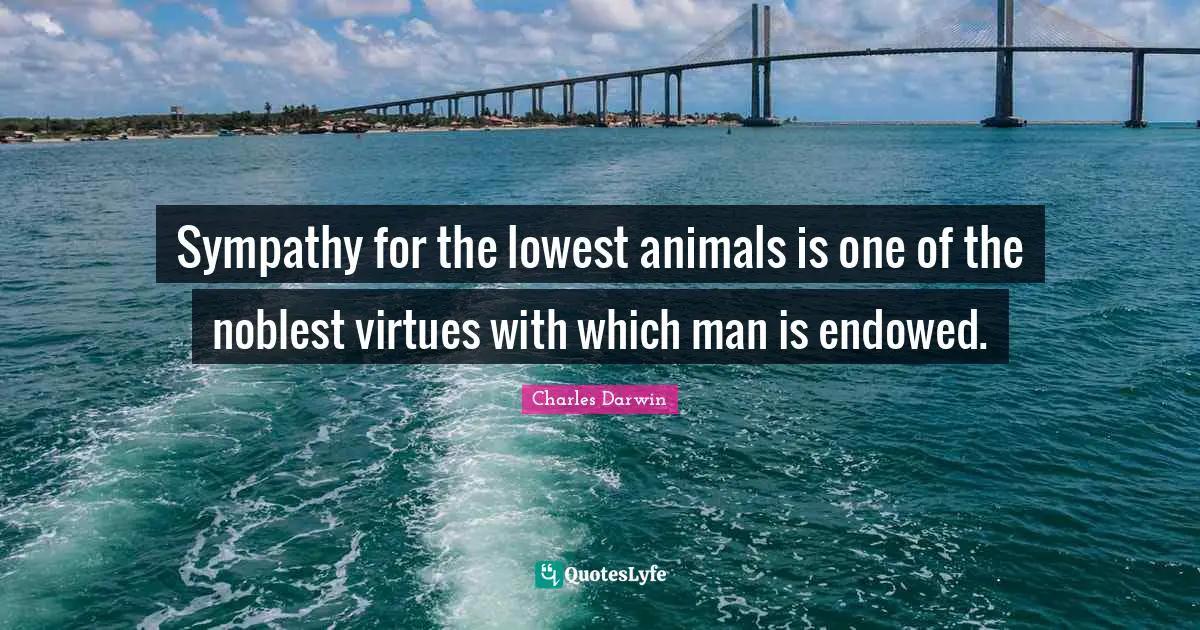 Sympathy for the lowest animals is one of the noblest virtues with which man is endowed.