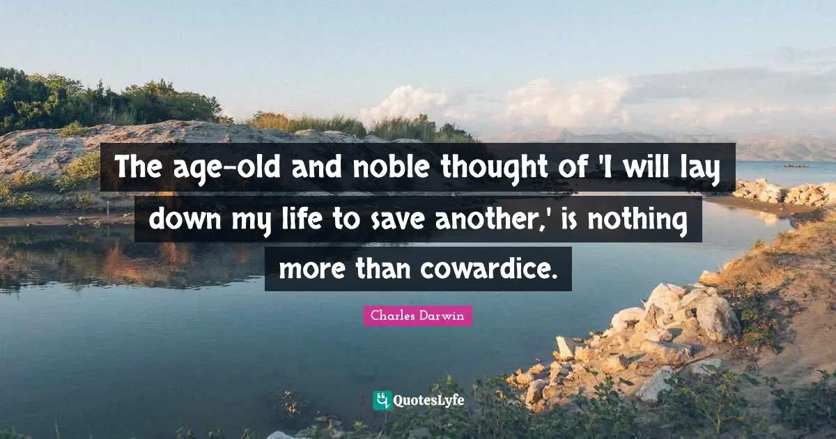 The age-old and noble thought of 'I will lay down my life to save another,' is nothing more than cowardice.