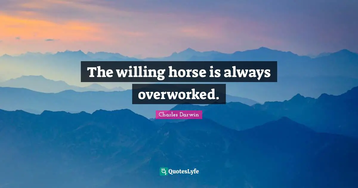 The willing horse is always overworked.