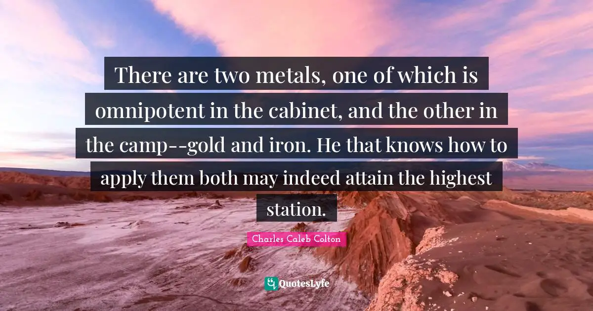 There are two metals, one of which is omnipotent in the cabinet, and the other in the camp--gold and iron. He that knows how to apply them both may indeed attain the highest station.