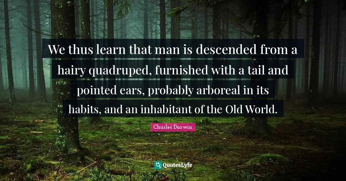 We thus learn that man is descended from a hairy quadruped, furnished with a tail and pointed ears, probably arboreal in its habits, and an inhabitant of the Old World.