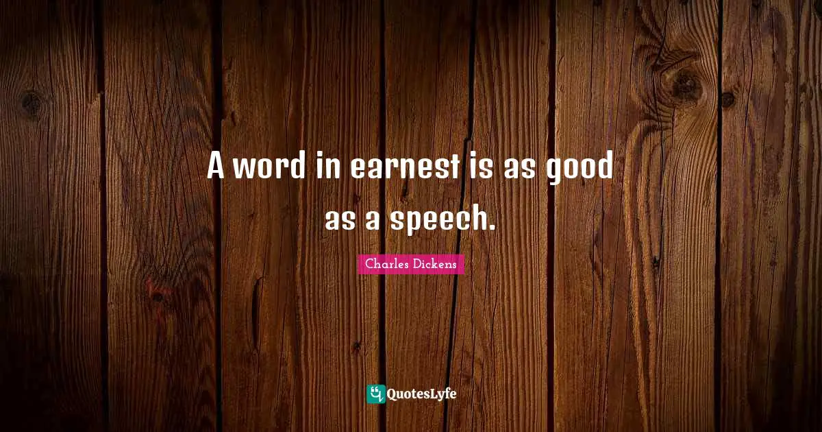 A word in earnest is as good as a speech.