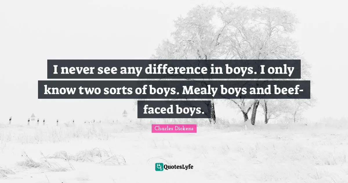I never see any difference in boys. I only know two sorts of boys. Mealy boys and beef-faced boys.