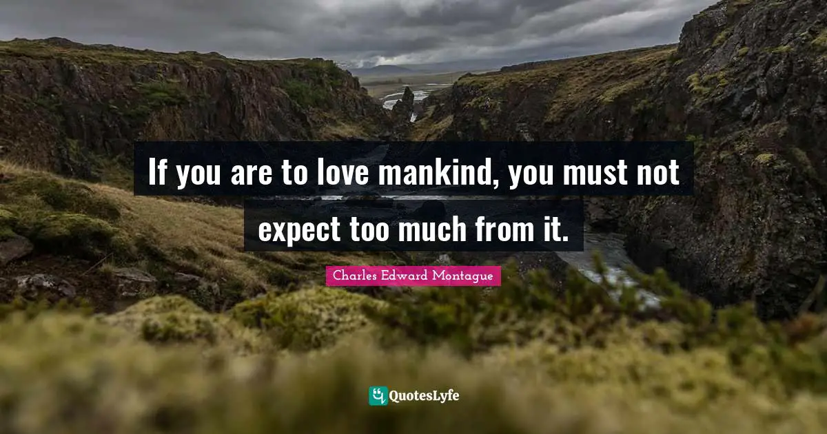 If you are to love mankind, you must not expect too much from it.