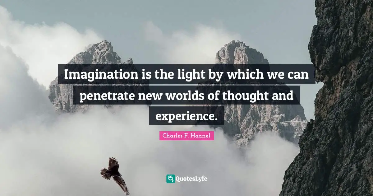 Imagination is the light by which we can penetrate new worlds of thought and experience.