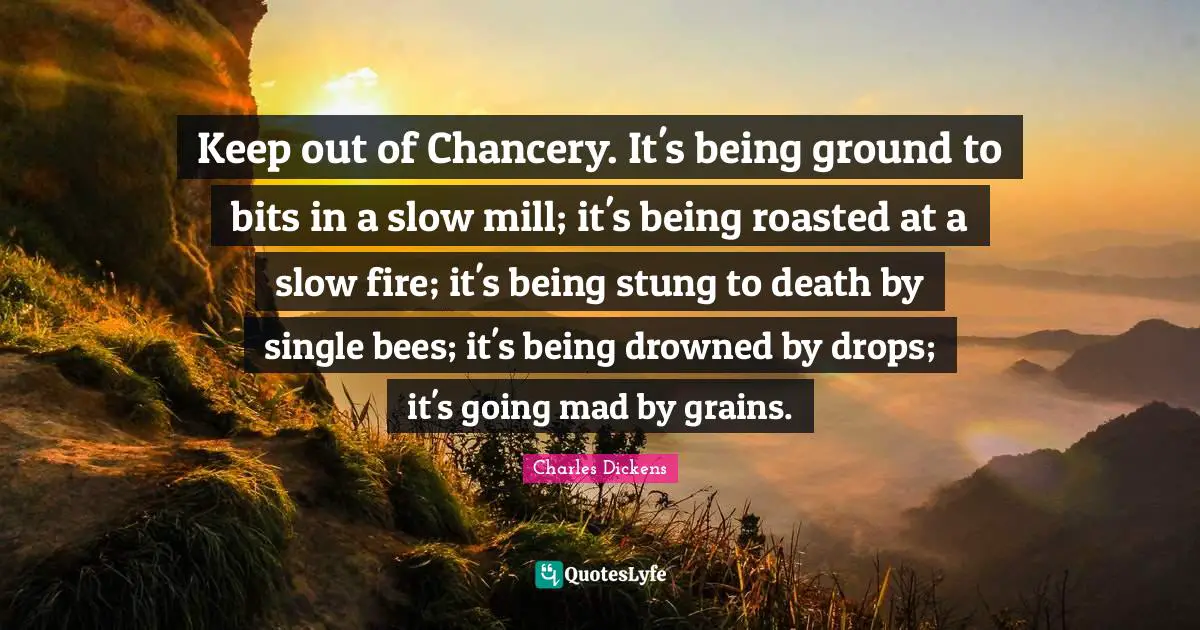 Keep out of Chancery. It's being ground to bits in a slow mill; it's being roasted at a slow fire; it's being stung to death by single bees; it's being drowned by drops; it's going mad by grains.