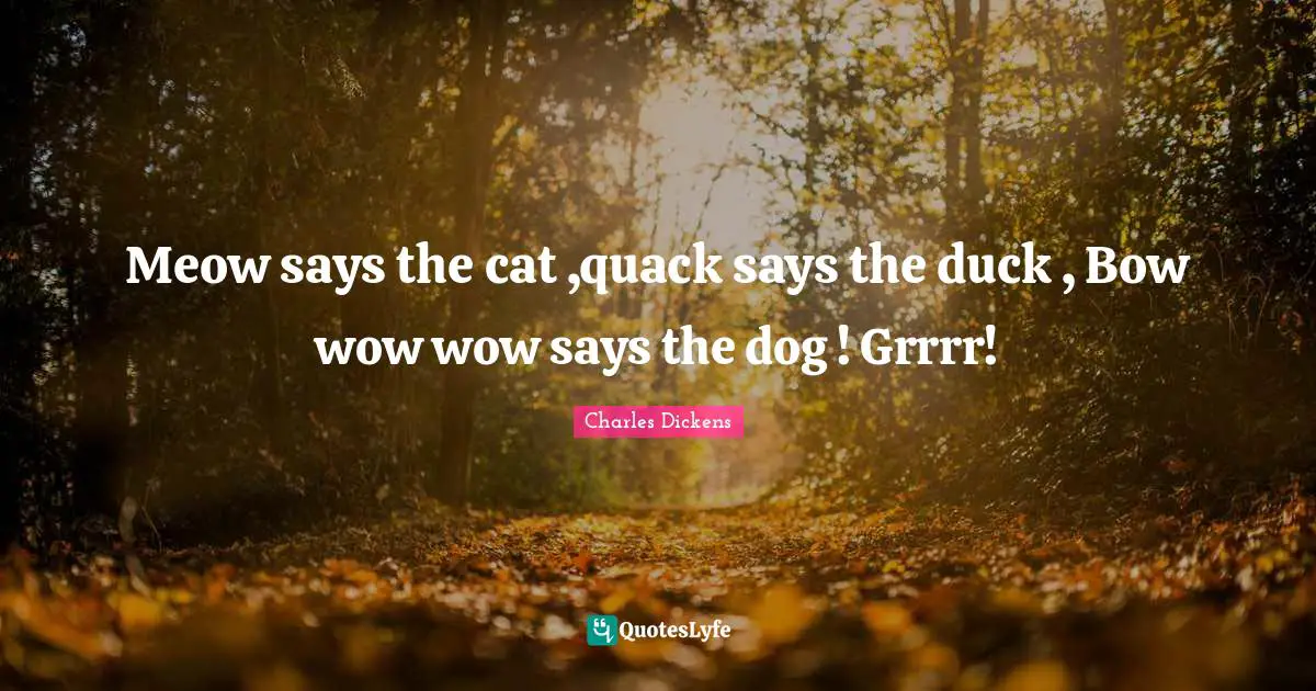 Meow says the cat ,quack says the duck , Bow wow wow says the dog ! Grrrr!
