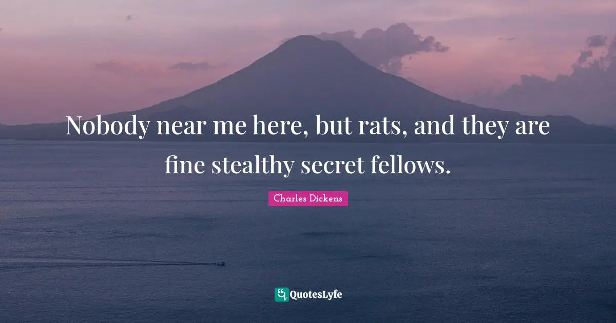 Nobody near me here, but rats, and they are fine stealthy secret fellows.