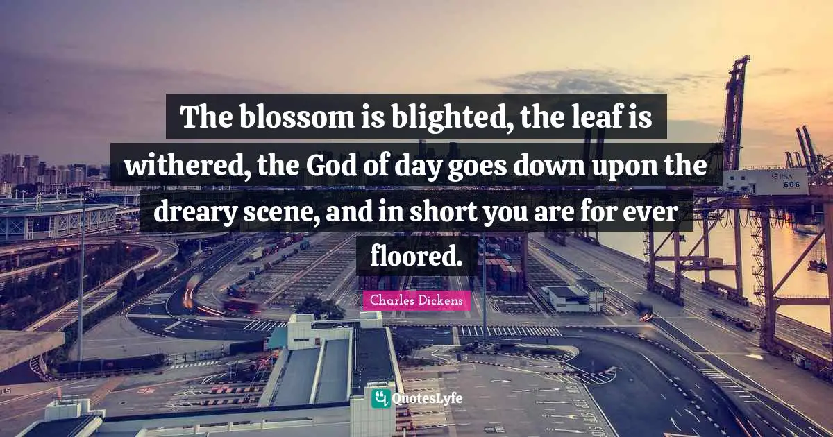 The blossom is blighted, the leaf is withered, the God of day goes down upon the dreary scene, and in short you are for ever floored.