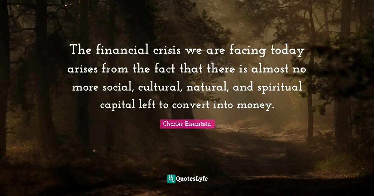 The financial crisis we are facing today arises from the fact that there is almost no more social, cultural, natural, and spiritual capital left to convert into money.