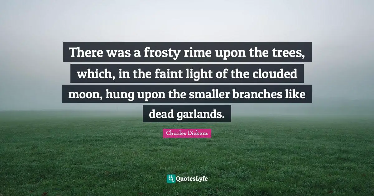 There was a frosty rime upon the trees, which, in the faint light of the clouded moon, hung upon the smaller branches like dead garlands.