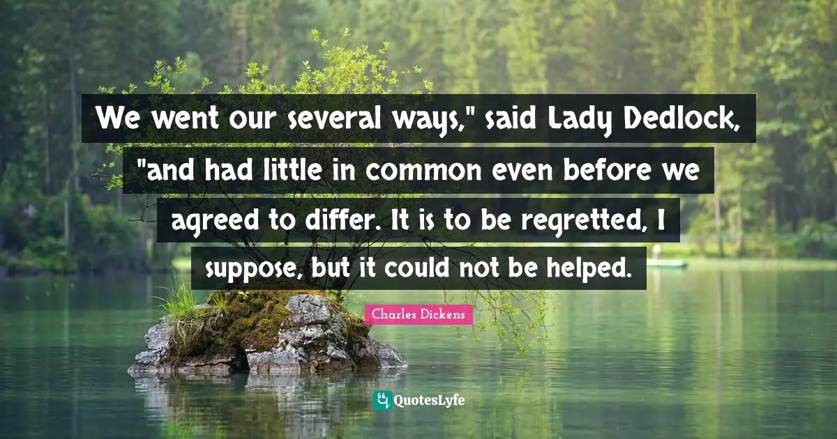 We went our several ways," said Lady Dedlock, "and had little in common even before we agreed to differ. It is to be regretted, I suppose, but it could not be helped.